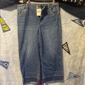 Blue Denim Wide-Leg Jeans